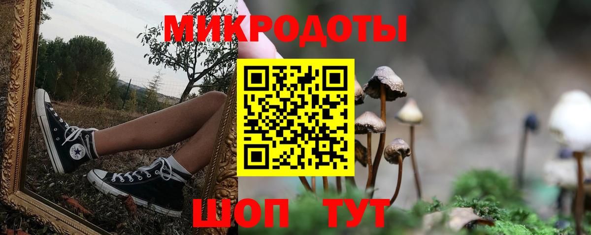 Псилоцибиновые грибы мухоморы Жигулёвск